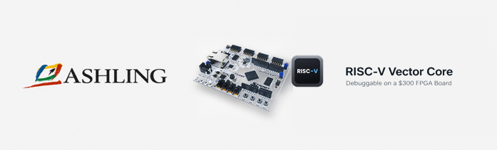 Ashling Microsystems